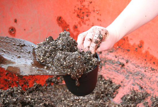 shoveling dirt into a pot for plants