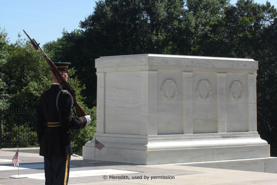 soldier guarding the Tomb of the Unknown Soldier