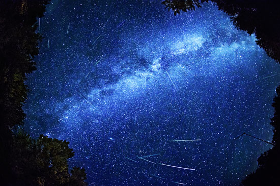"Composite Photograph of all visible Perseid meteor activity on August 12th 2013 from 2:28 - 3:32am, as seen from Bracebridge Muskoka, Ontario, Canada. Image contains grain as a result of the high ISO and long exposure required for this type of photography.