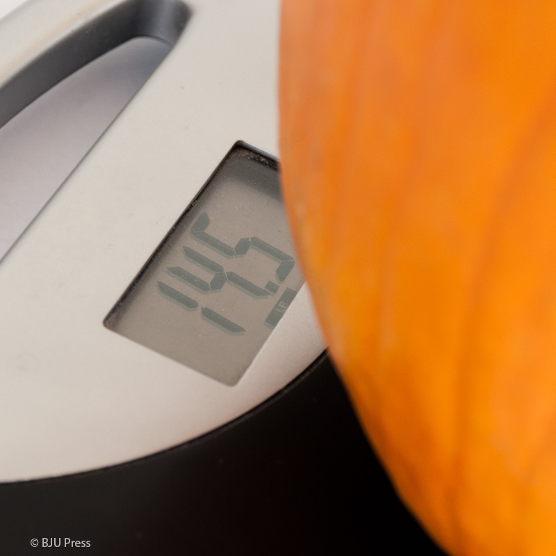 pumpkinblogpost-weight