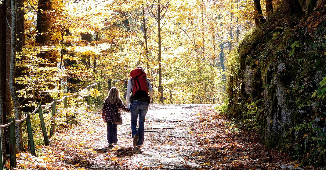 wisdom's call and homeschooling on a hike