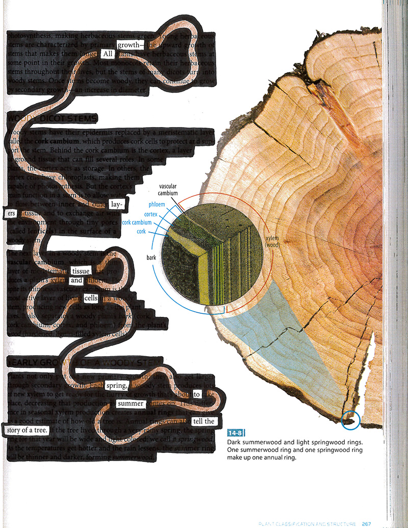 tree blackout poem