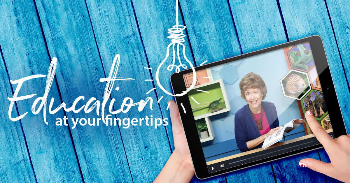 Introducing Our New 2019 Homeschool Catalog BJU Press Blog