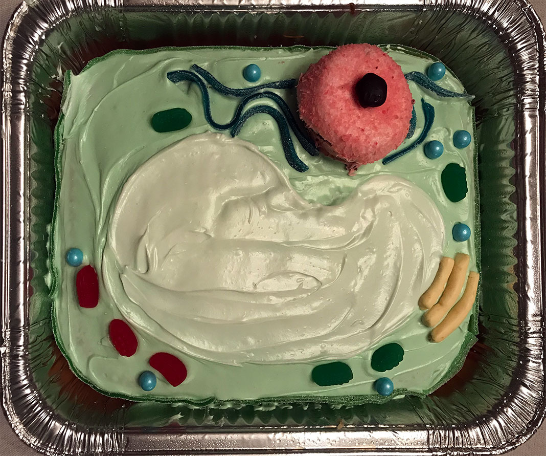 detailed edible cell model cake