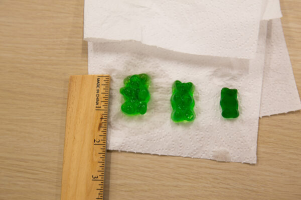 gummy bears that have experienced osmosis